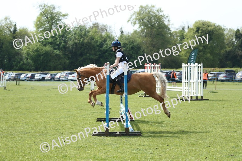 20260426-1607 - Class 14 - Novice 60cm