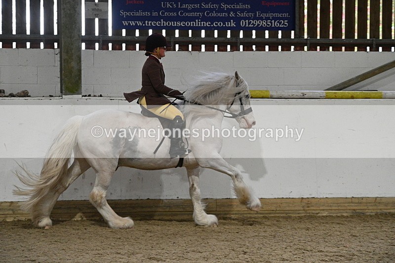 WJ7_4249 - Class 17 Ridden Cob