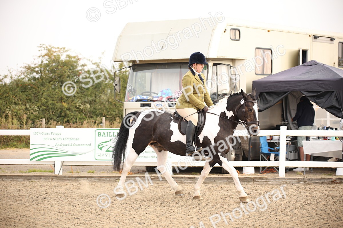 SBM_09746 - Class 401 Riding Club Pony