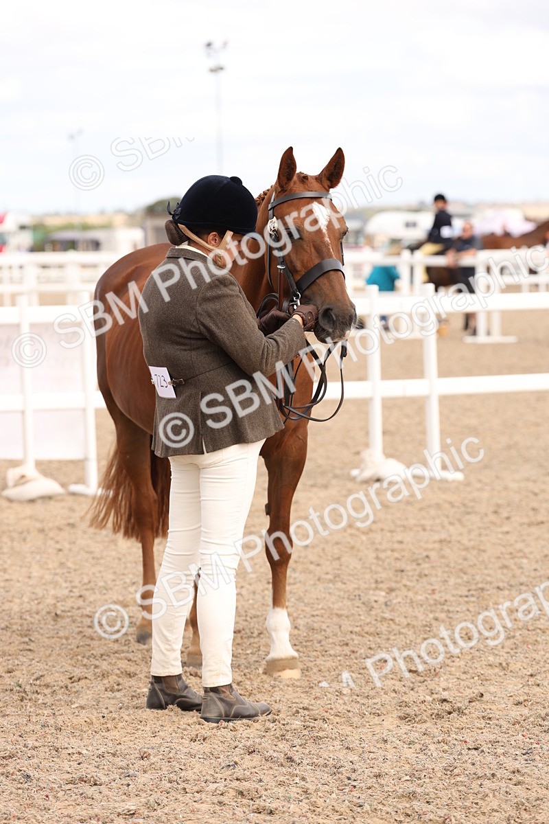 SBM_15380 - Class 210- IH Show Horse