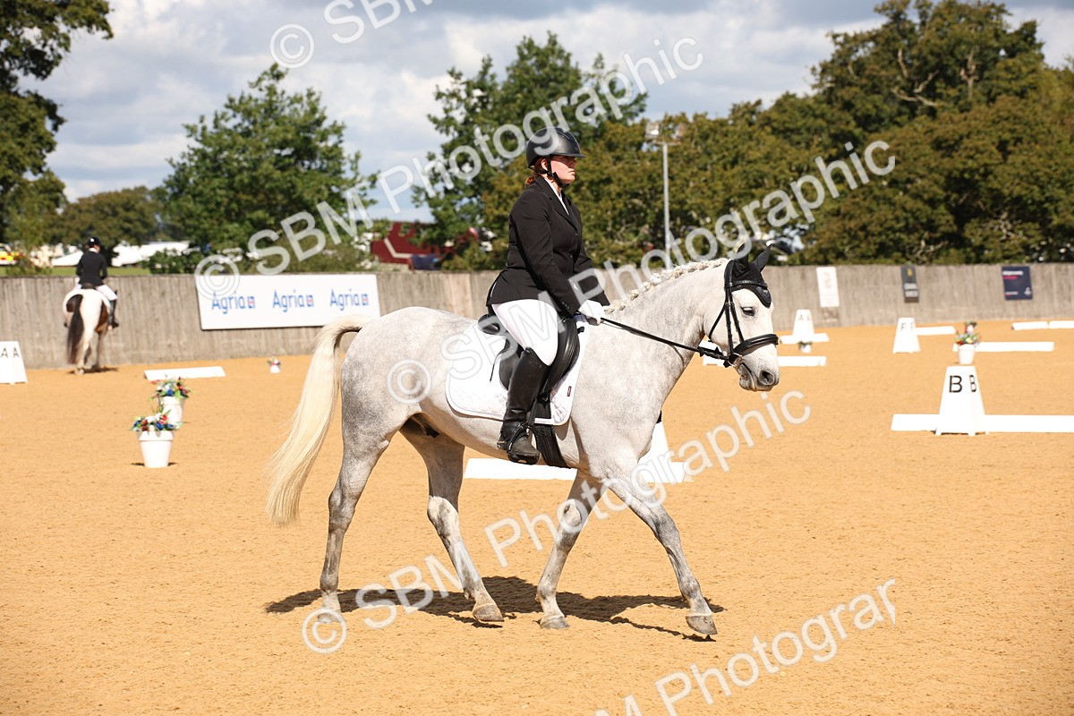 SBM_04340 - D2 Small Tour Championship Intro C