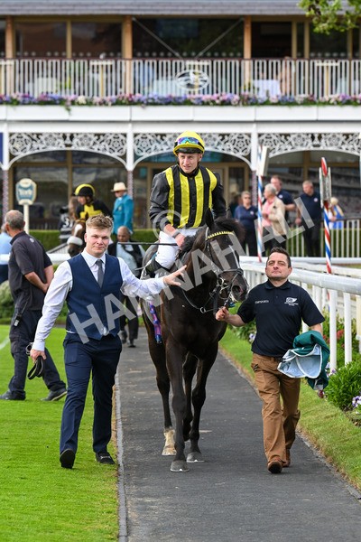 310525-Race 6-Dantes Lad-0148 - Race 6 4.25pm Royal Yorkshire Regiment Handicap