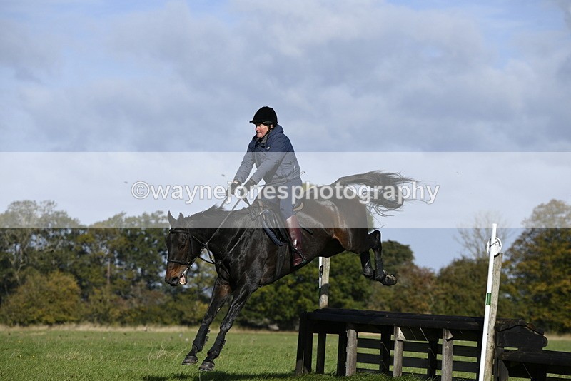 _DSC5436 - Time 10:49 to 11:23