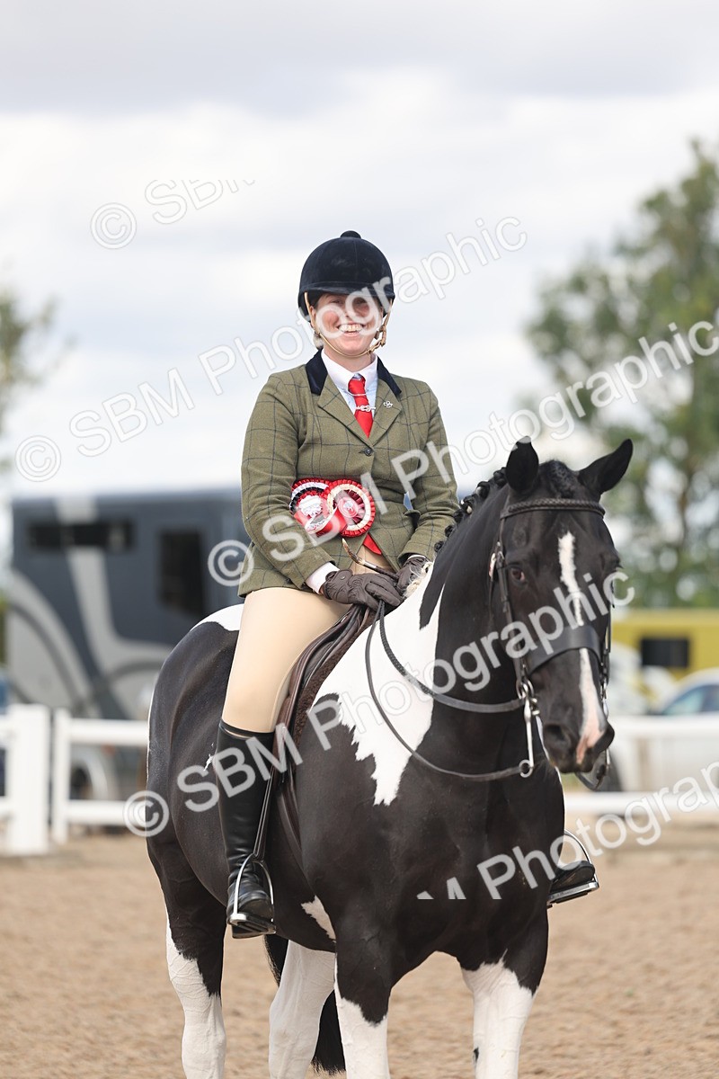 SBM_14841 - Class 308 - Ridden Coloured Horse