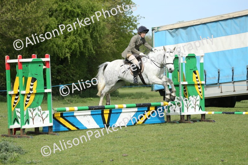 20260426-1632 - Class 14 - Novice 60cm
