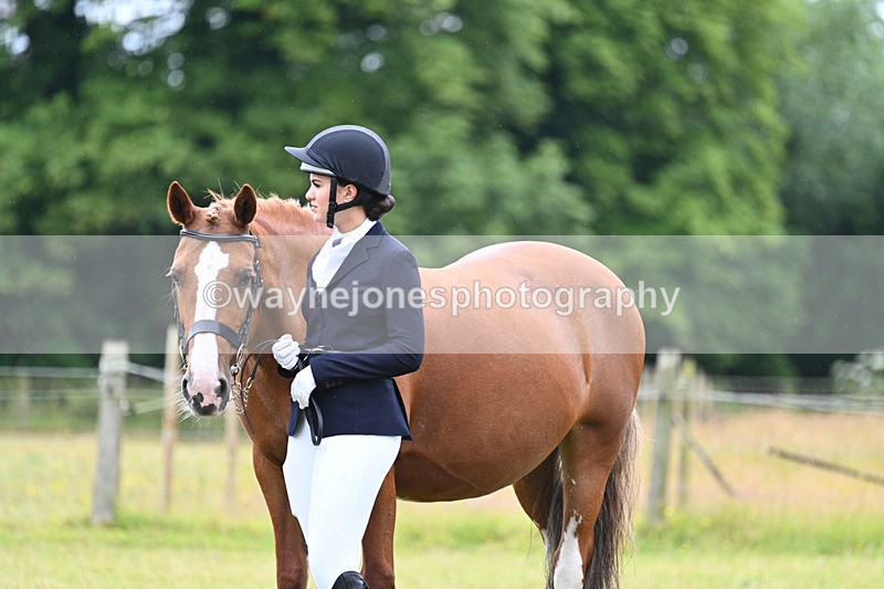 WJ7_6213 - Class 4a Prettiest Mare over 14hh