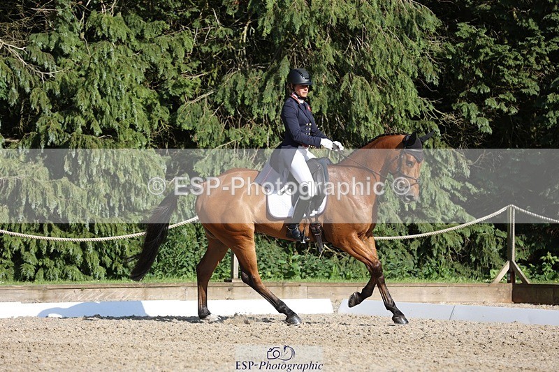 230526-175434-08059 - 182-HARTHILL_FLAMENCO-Izzy_Taylor-WEDTrotUp+DR