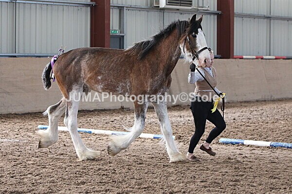 SIAL0319 - Indoor Classes