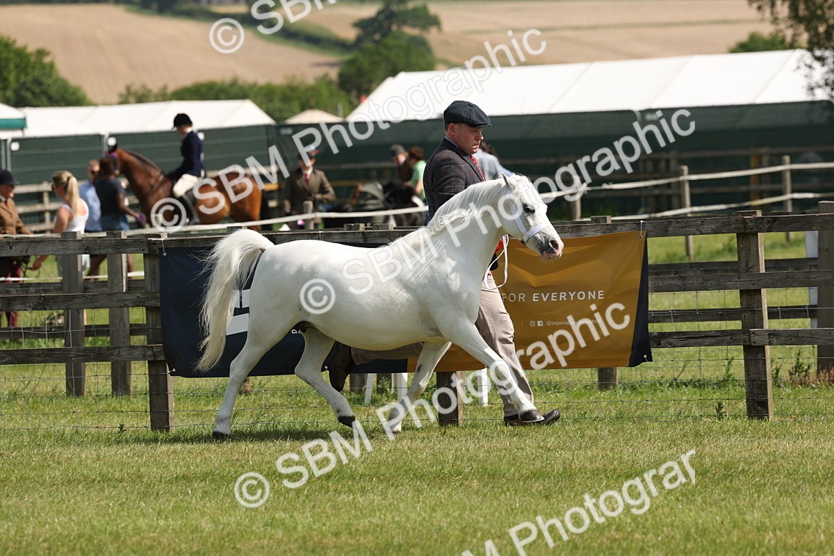 SBM_02390 - Class 6-13 - Mountatin and Moorland In Hand Welsh Breeds