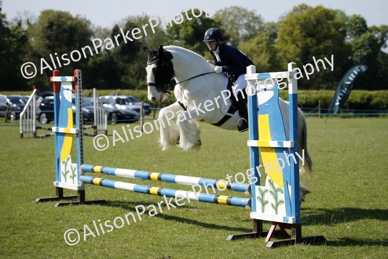 20250427-2008 - Class 13 - Novice Jumping 60cm