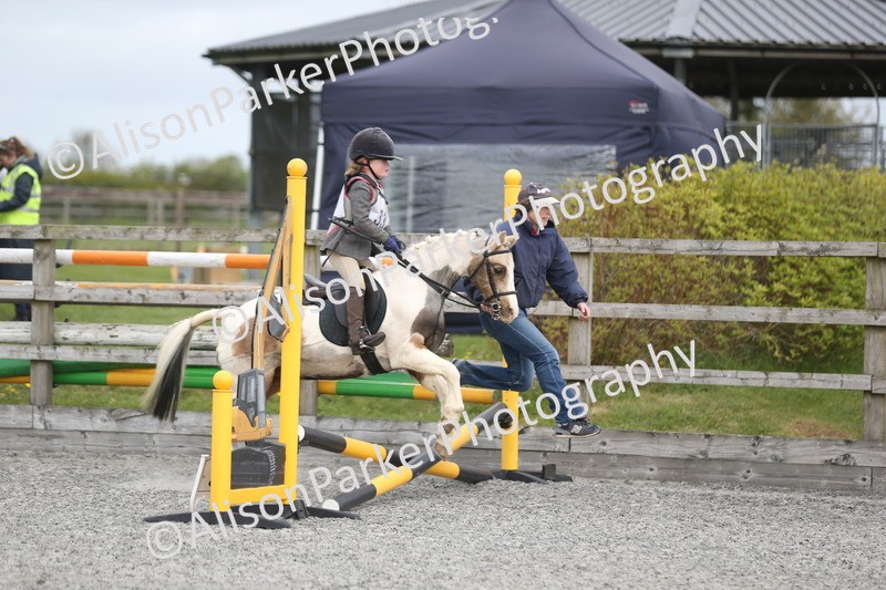 20260412-0151 - Show Jumping