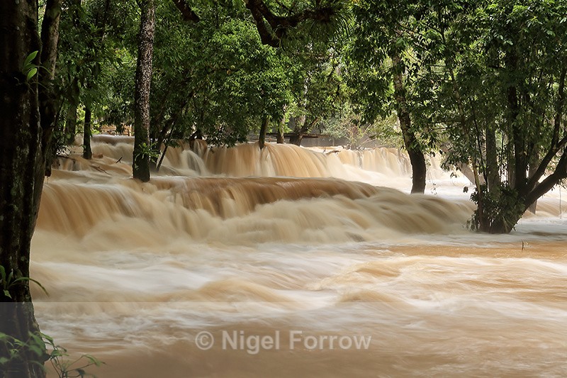 Tad Sae waterfall, Laos - Laos