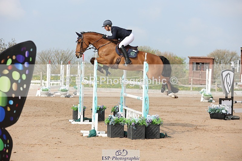 250424-102412-02991 - Cls 33 Young Horse 7yr old