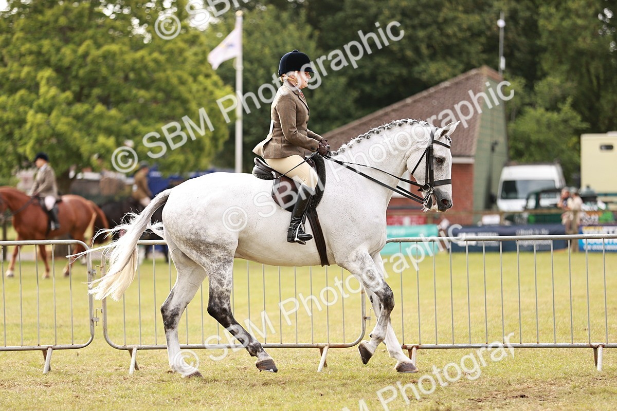 SBM_10857 - Class 81-84 - RIHS Ridden hunters Inc Ladies Hunter