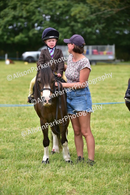 20260614-3718 - Class 15 - Prettiest Mare