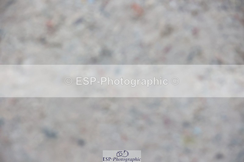 241201X-134810-01556 - Cls 27-28 Winter -Summer