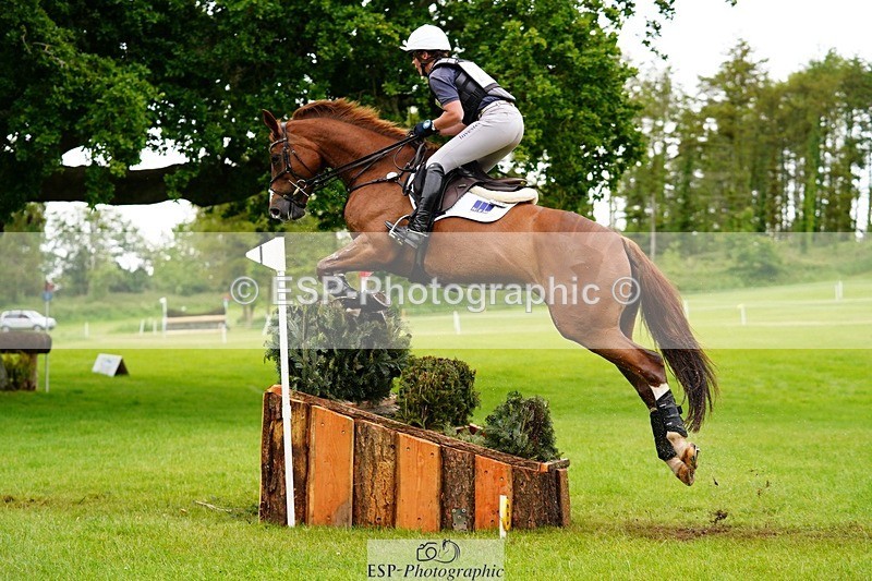 240525-172650-19145 - 289-JUST_A_JOLLY-Flora_Harris