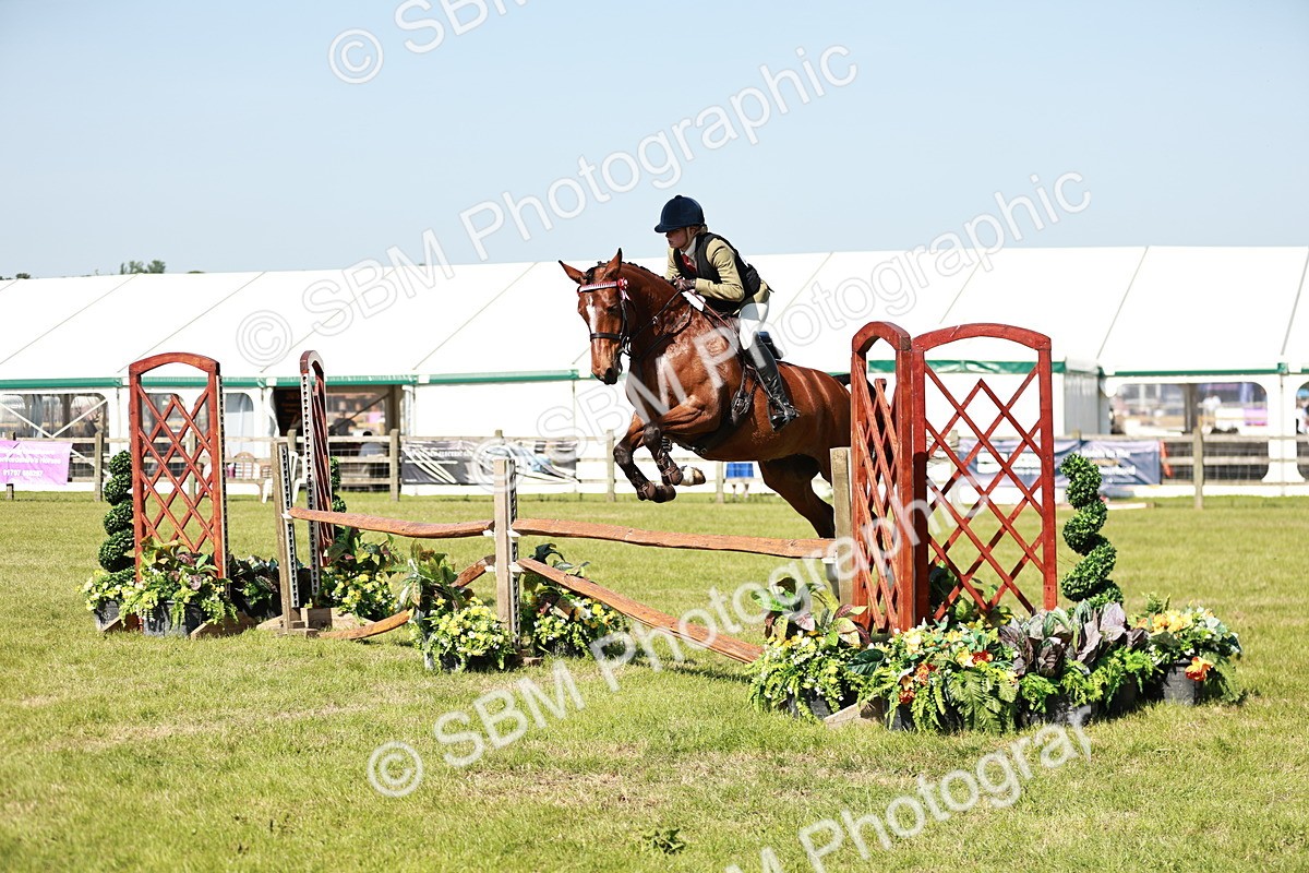 SBM_18817 - Class 114 - RIHS & SEIB Open Working Show Horse