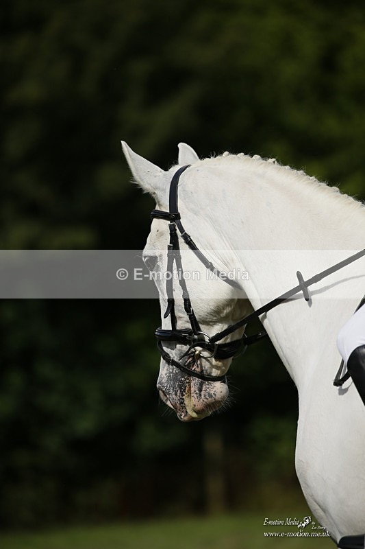 BVRC 120921 343 - Bourne Valley Riding Club UA Dressage & Show Jumping 12/09/21