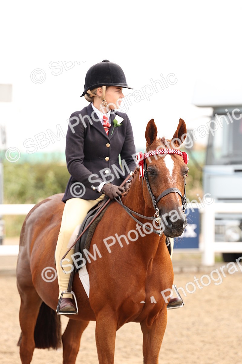 SBM_01632 - Class 52 - Ridden Veteran