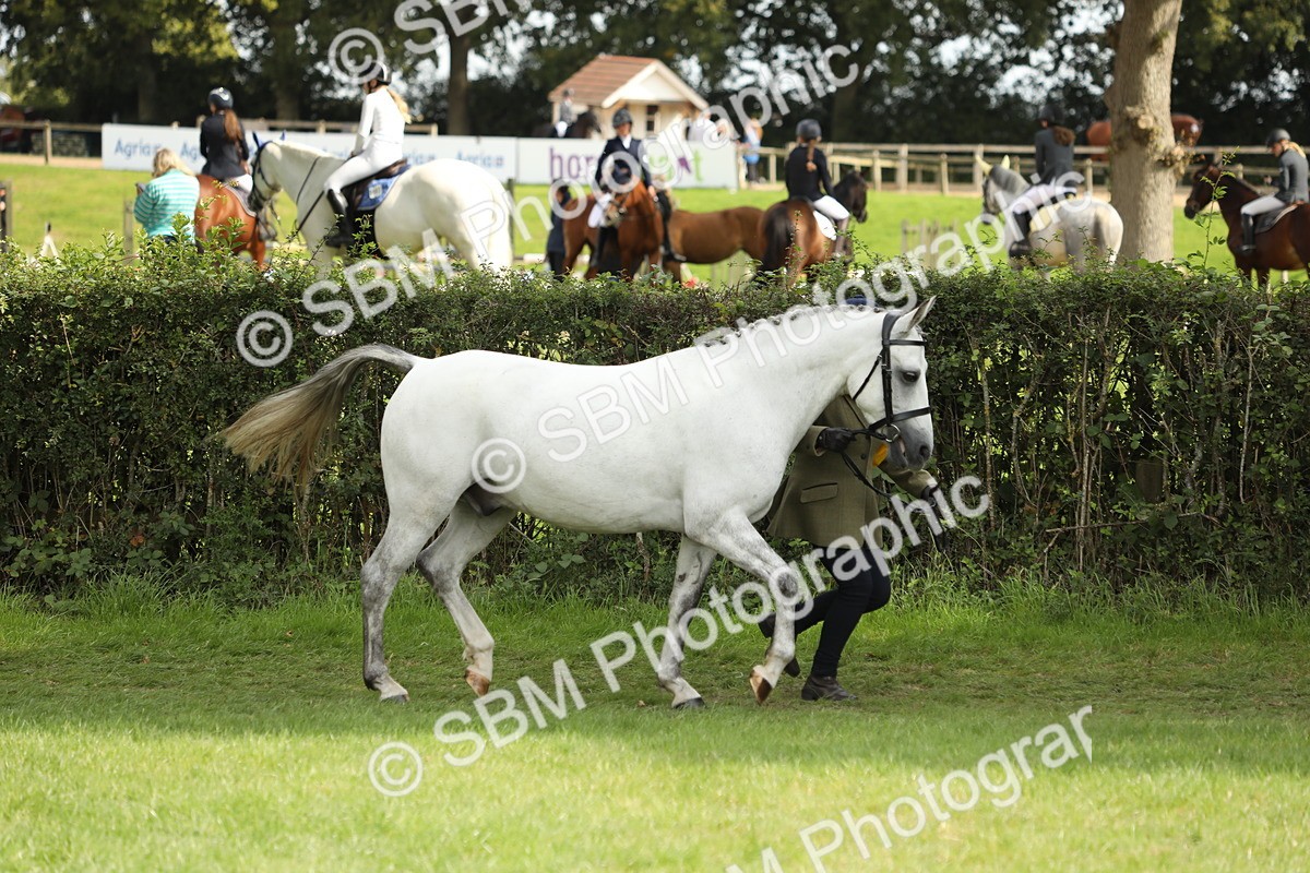 SBM_66283 - In Hand Pony & Youngstock Supreme Championship