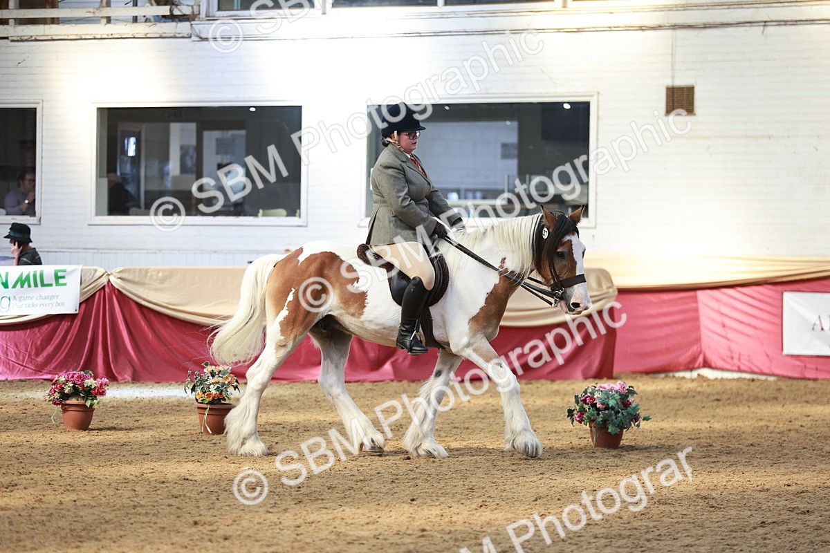 SBM_07105 - Class 10R - Regional Ridden Diamond