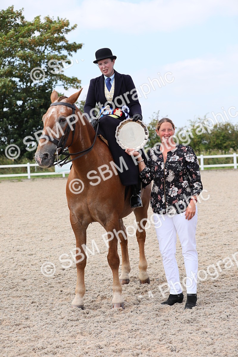 SBM_14620 - Class 211 Best Side Saddle Horse/Pony
