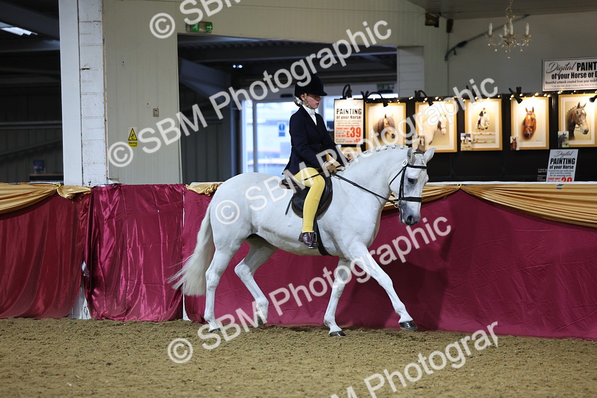 SBM_19285 - Class K Equitation Champ