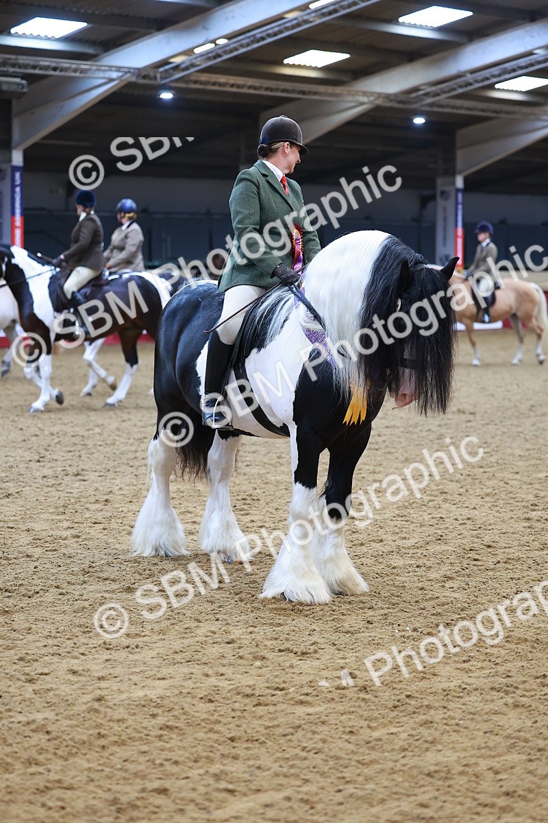 SBM_09864 - Class 102 - HOYS Veteran Qualifier - Ridden Veteran