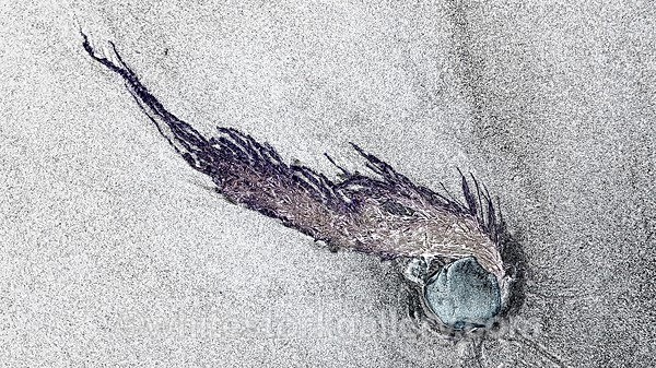 - The Sand Gallery