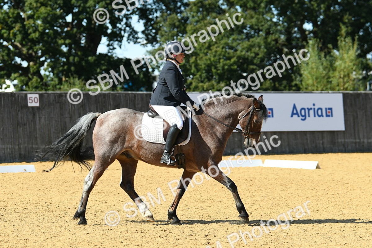 SBM_24743 - D13 - Grand Tour Championship - Prelim 12