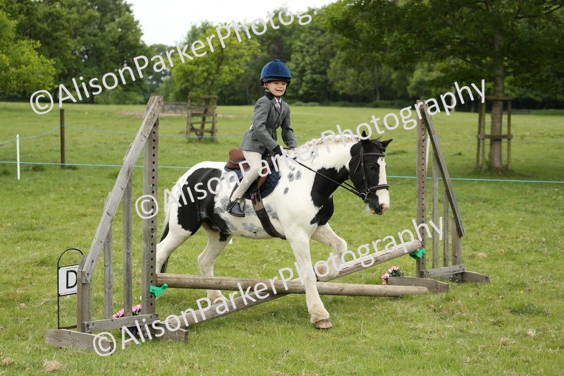 20250517-0481 - Class 20 - Beginners Working Hunter