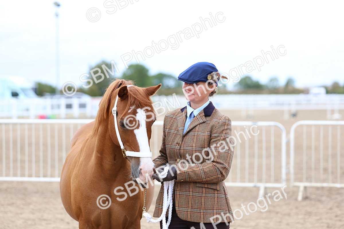SBM_05918 - Class 29 - IH Veteran Pony