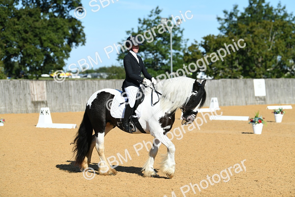 SBM_16290 - D4 - Small Tour Championship - Intro B