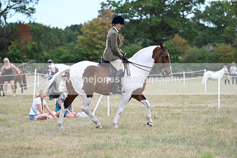 WJ7_4913 - Class 12 Ridden Cob