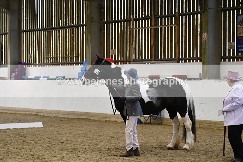 WJ5_4974 - Class 7 In hand coloured / odd coloured