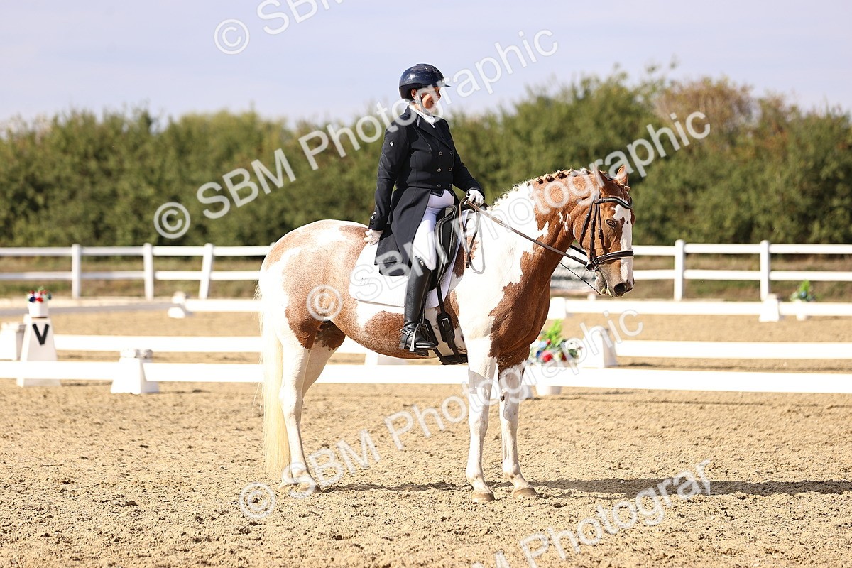 SBM_015464 - Class 11 - FEI PSG