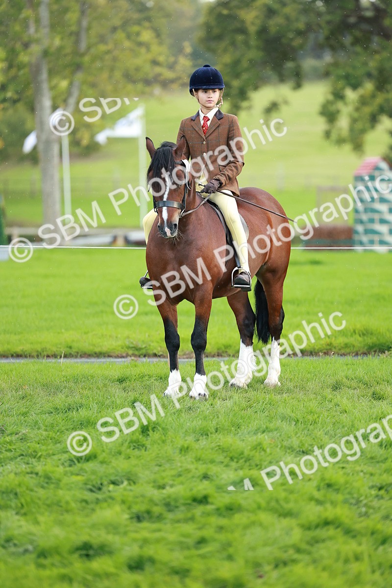 SBM_28857 - S7 - Novice & Newcomer Ridden Pony