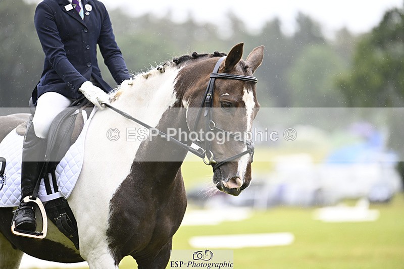 240824X-101830-21605 - D70 Section A and B 9.30 to 10.40