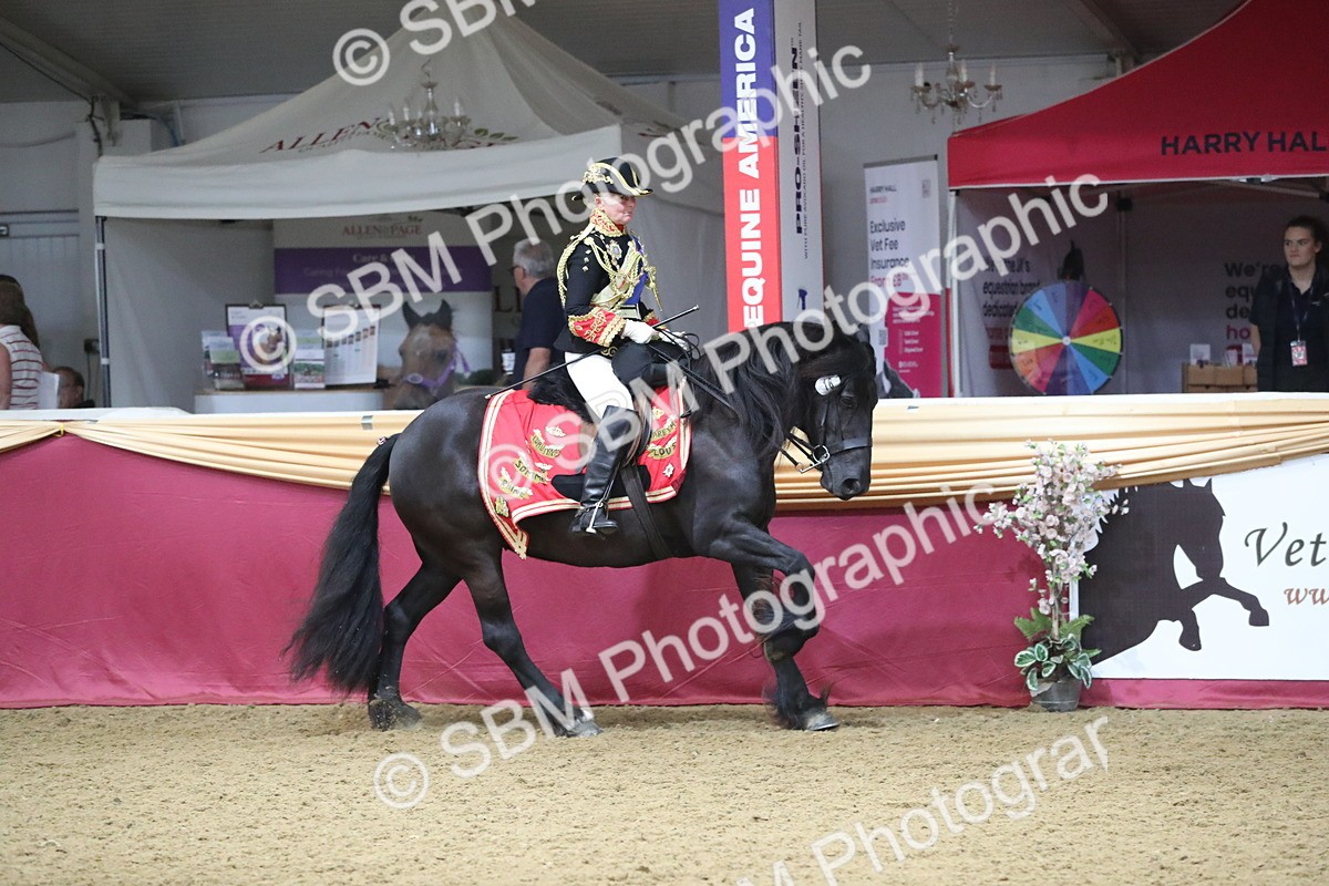 SBM_11998 - Class 106 Ridden Costume- Astride Adult (15-19)