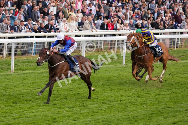 yr13052022r7-39 - Race 7 5.15pm Longines Irish Champions Weekend Stakes