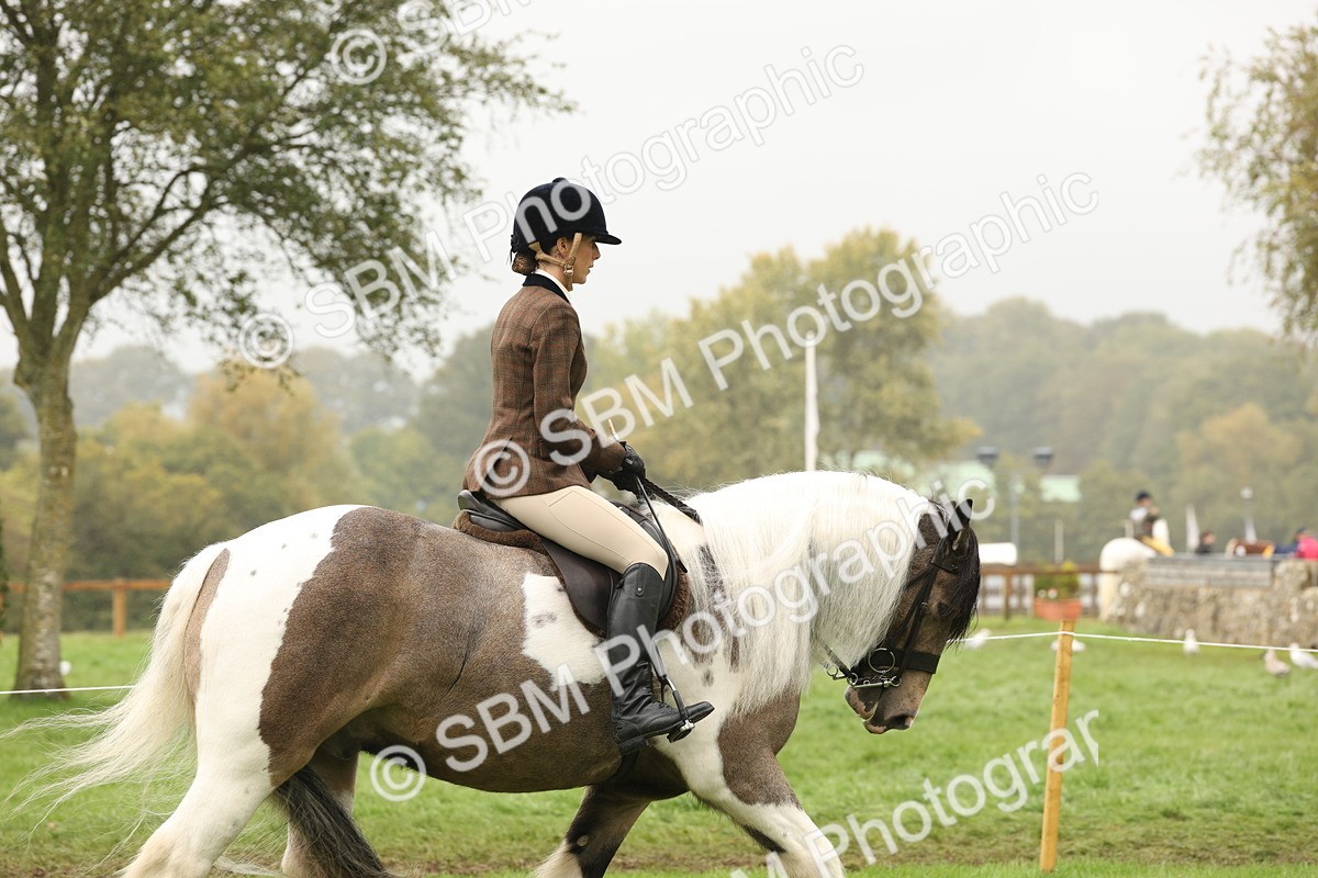 SBM_72690 - S70 - Traditional Cob Ridden