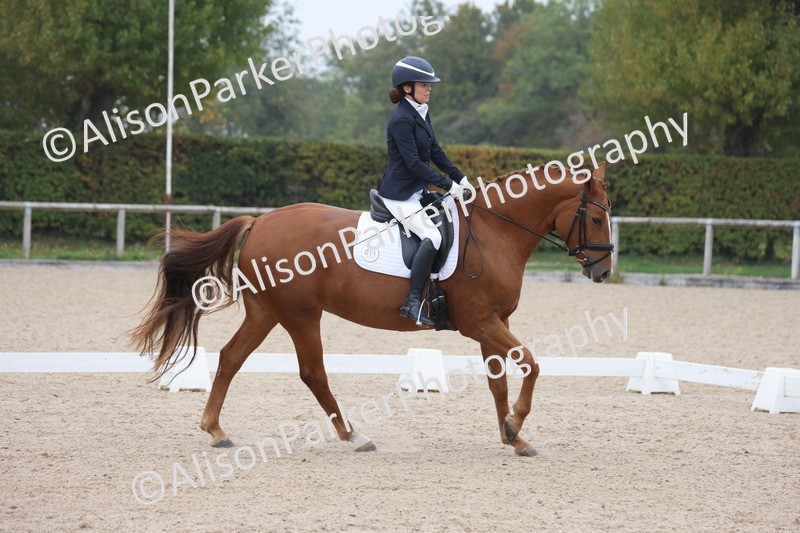 20251012-0663 - Class 5 - Elementary 5