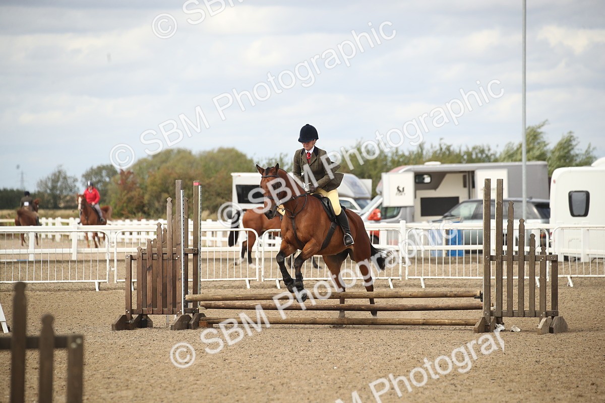 SBM_15207 - Class 506a - Working Veteran - 50cm (15-19)