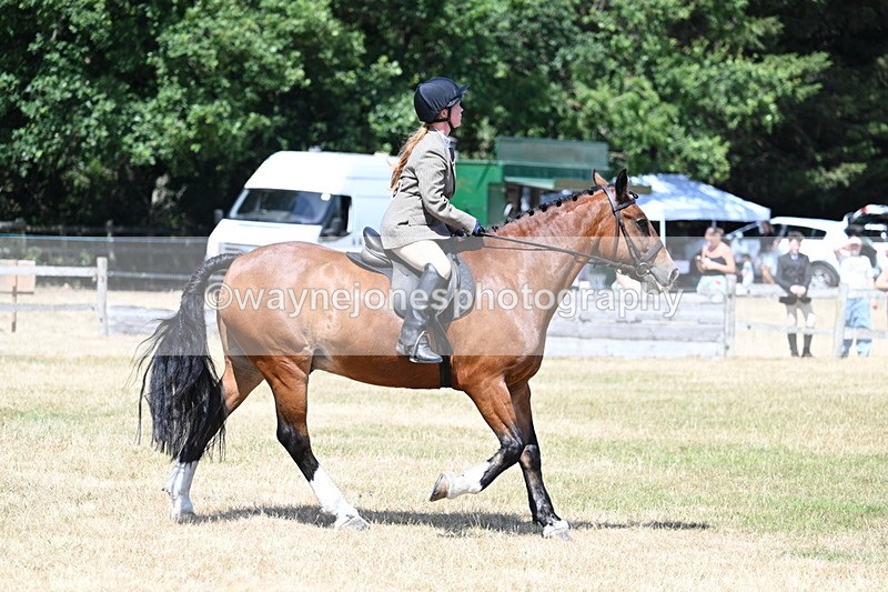 WJ7_3482 - Class 8 Ridden Veterans