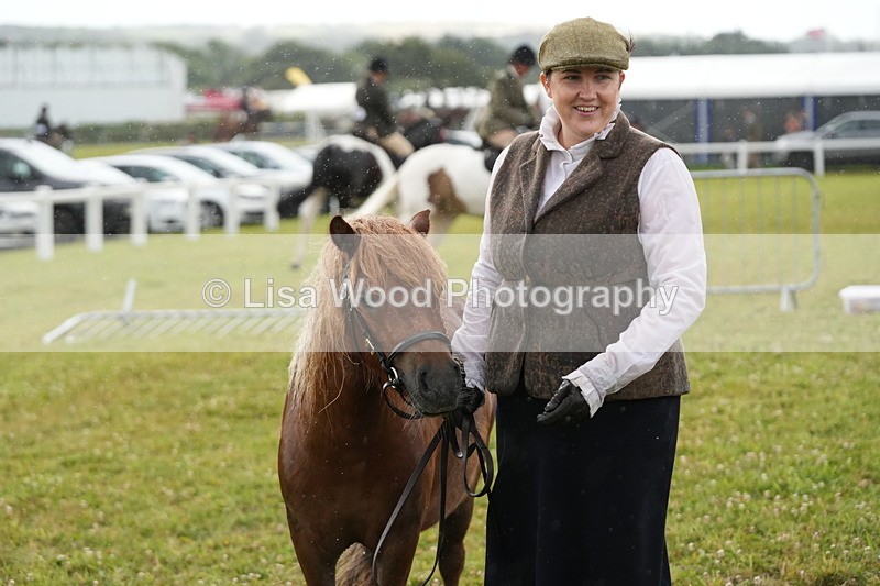 DSC04630 - Class 46: NPS Shetland Youngstock
