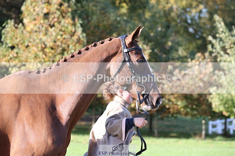 241027-103811-16007 - 595-Josie.Dix-RUSTICOATS