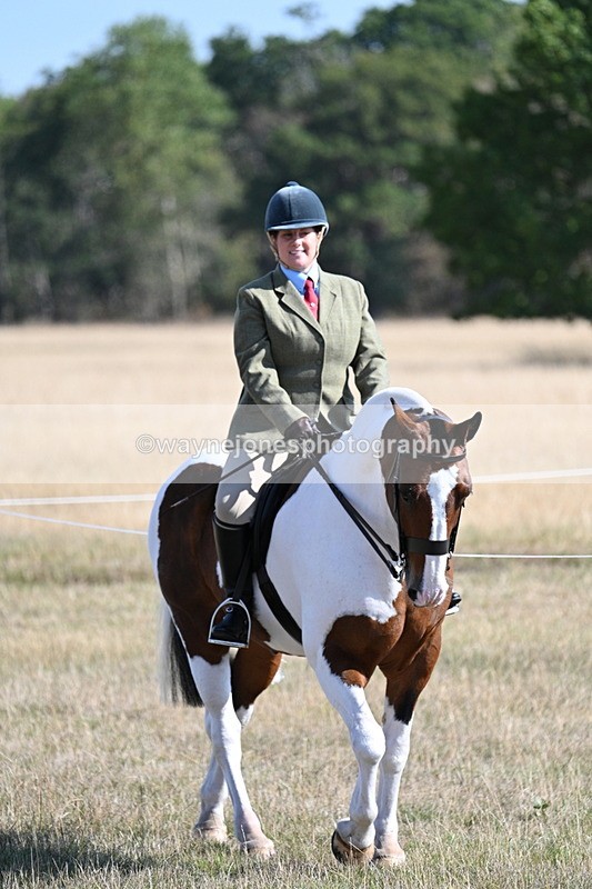 WJ7_3057 - Class 8 Ridden Tack & Turnout