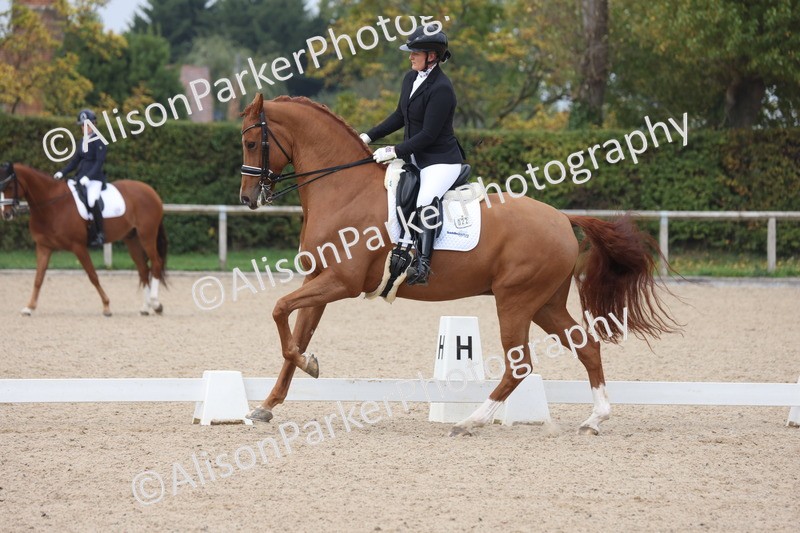 20251012-0810 - Class 9 - Advanced Medium 3