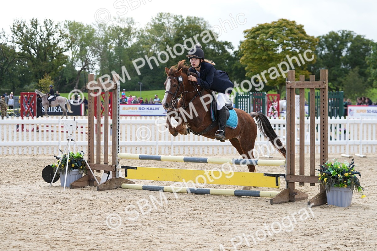 SBM_40825 - Supreme Championship Pony 50-55cm
